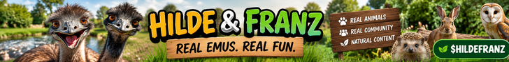 Hilde & Franz – Real Emus, Real Fun!